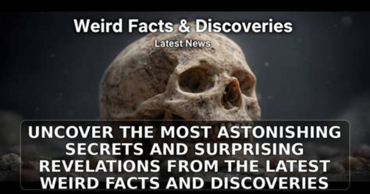 Surprising Revelations and Insider Secrets