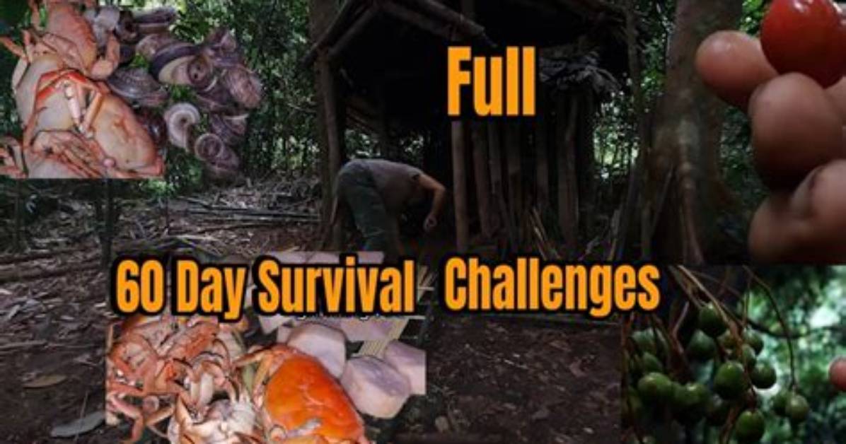 Surviving the Challenge: My Journey of 60 Days in Cast