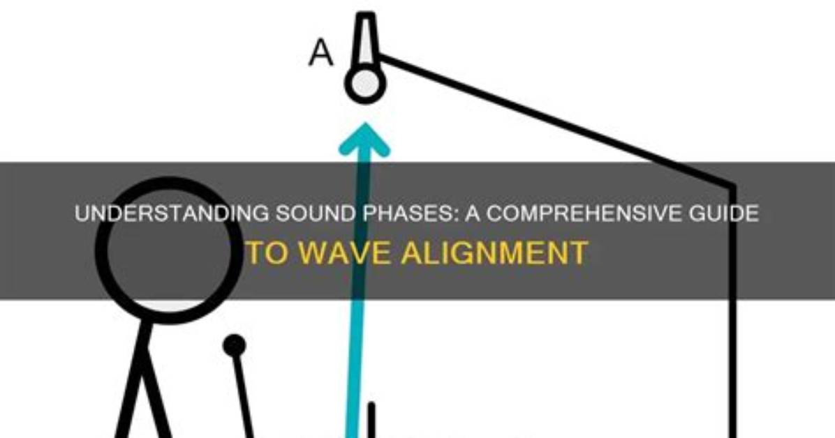 The Definitive Guide to Maoning Sound: Understanding the Basics and Beyond