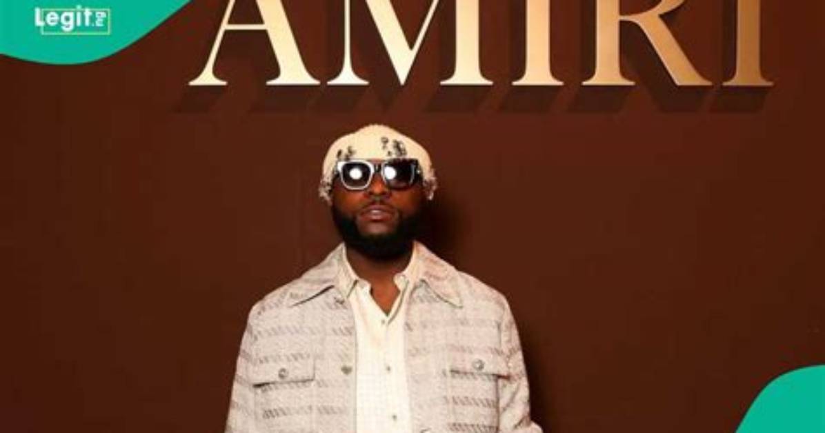 The Rise of Davido Investment Company: a Journey of Success and Innovation