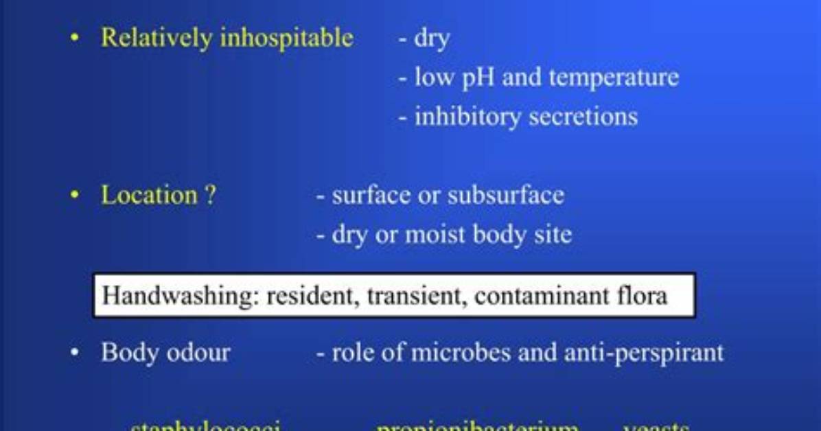 The Role of Skin Flora in Urinary Tract Health