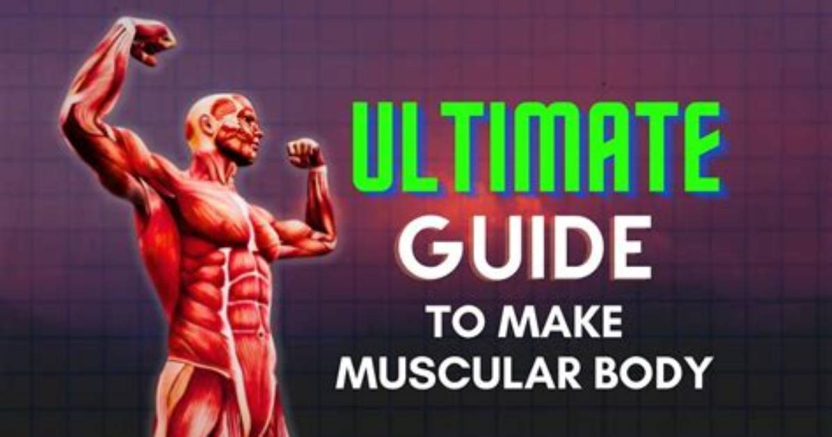 The Ultimate Guide for Muscular Health