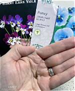 The Ultimate Guide to Successful Pansy Germination: a Comprehensive Handbook