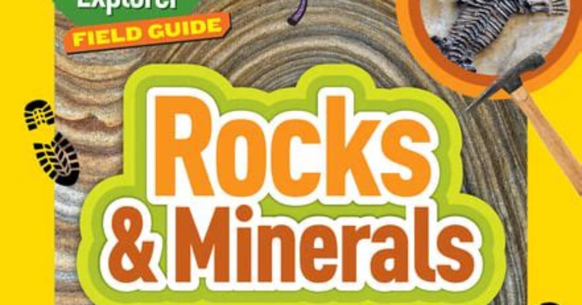 The Ultimate Guide to "The Rocks Kids": Uncovering Their Story and Impact