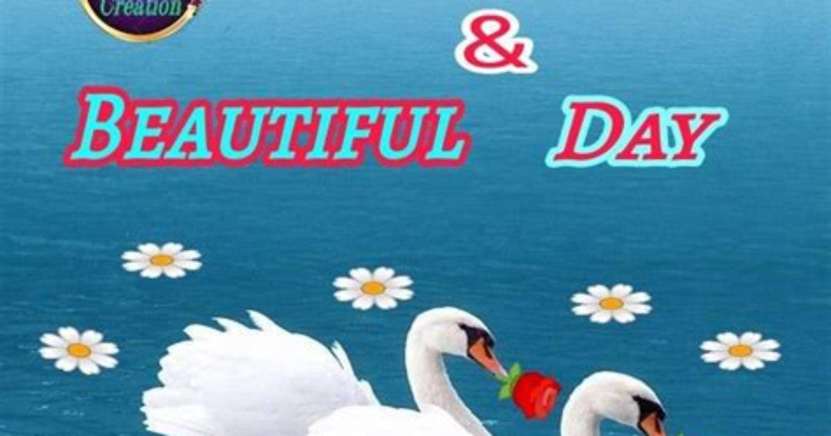 The Ultimate "It's a Beautiful Morning" Song: a Harmonic Melody for Your Soul