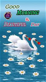 The Ultimate "It's a Beautiful Morning" Song: a Harmonic Melody for Your Soul