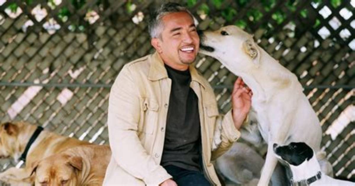 The Untold Truth of Cesar Millan’s Ex-Wife – Ilusión Millan