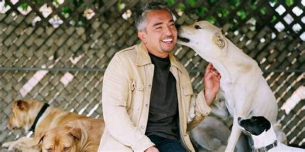 The Untold Truth of Cesar Millan’s Fiancée – Jahira Dar