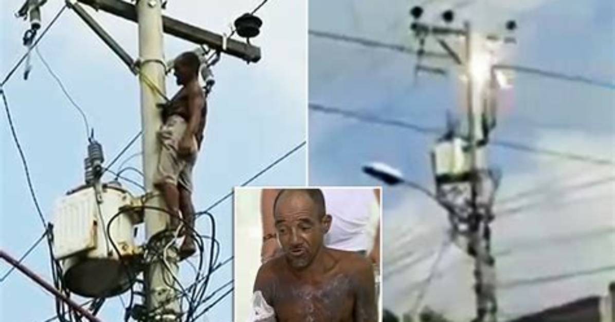 Three Persons Electrocuted to Death by High Tension Wire at Bawana Farmhouse