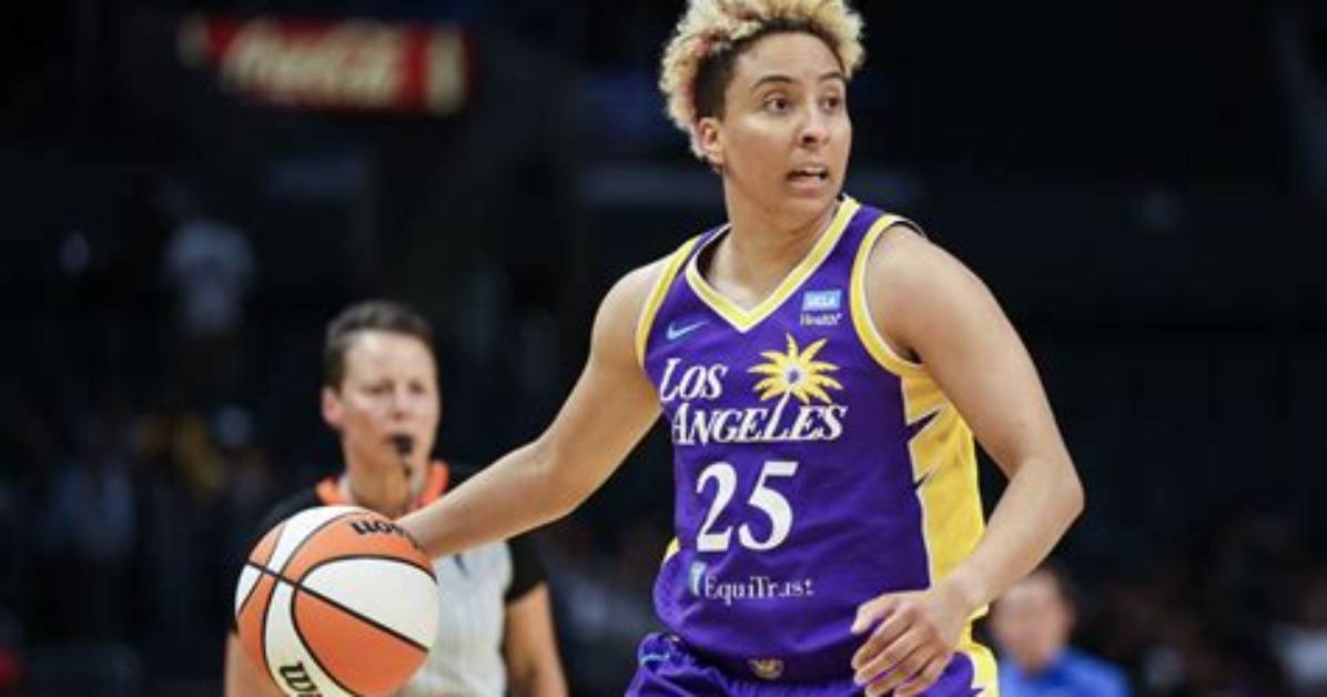 Transgender Professional Basketball Star: a Story of Brittney Griner
