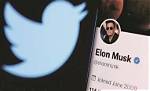 Twitter Hunts for Connection Between Whistleblower Zatko & Musk