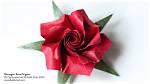 Ultimate Guide to the Exquisite Pentagon Rose: Unveiling Its Beauty and Significance