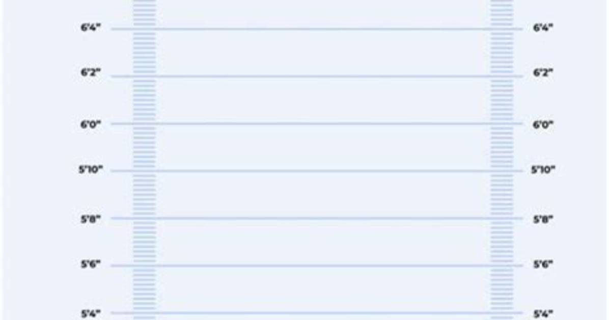 Ultimate Guide to Towering Beast Height Measurement