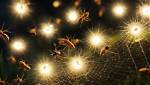 Uncover the Secrets Behind Spiders' Attraction