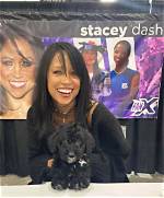 Uncover the Truths and Controversies Surrounding Stacey Dash