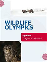 Uncover the Wonders: Our Exceptional Wildlife Cast