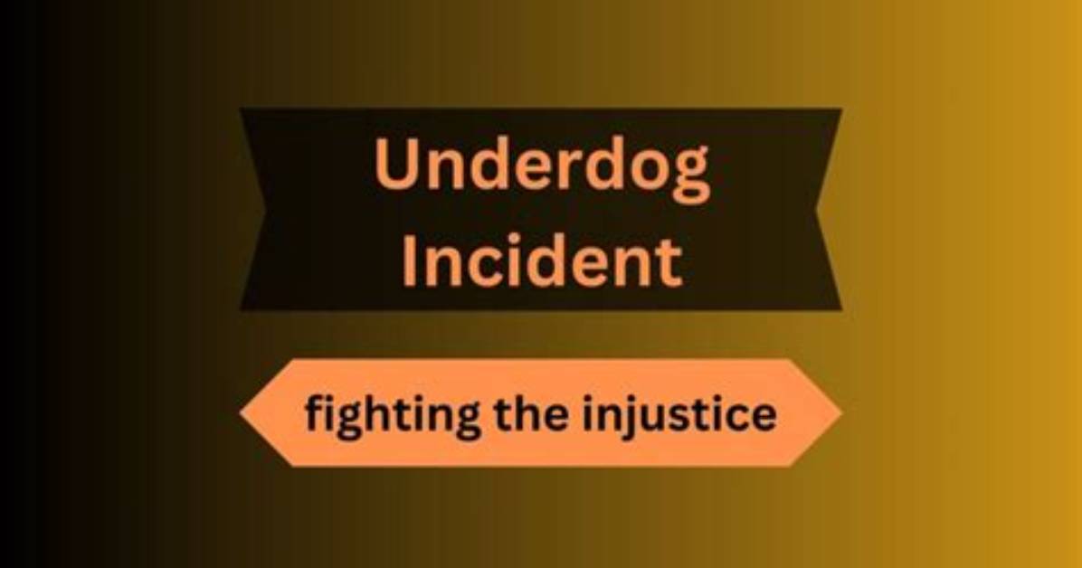 Uncovering the Secrets of the "Underdog Incident 2022"