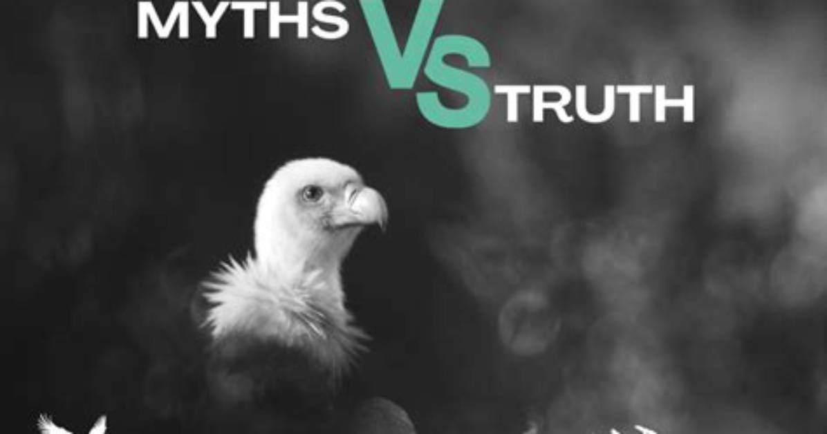 Uncovering the Truths and Myths