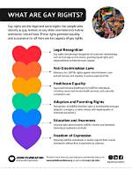 Understanding Gay for Fans: What It Is and Why It Matters