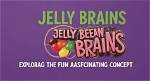 Understanding the Jelly Bean Brain Leak Phenomenon