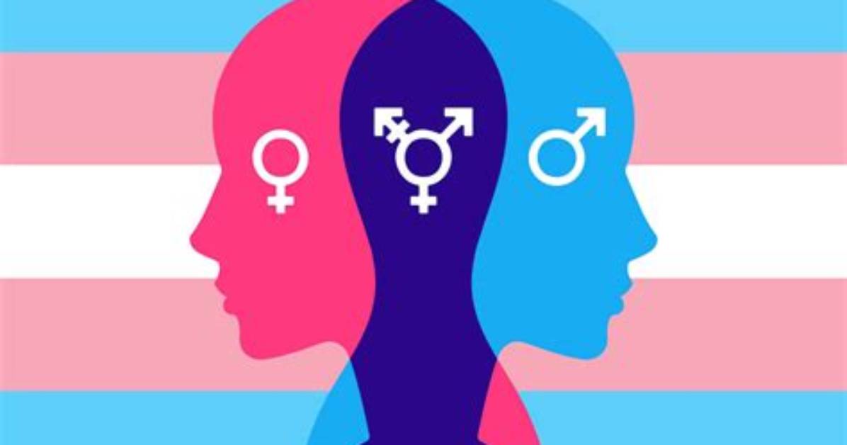 Understanding the Skirby Gender Phenomenon