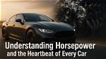 Unleashing the Power of Horsepower Drinks: Discoveries and Insights