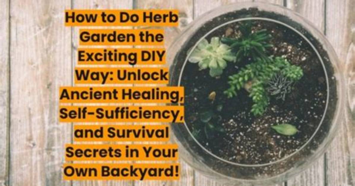 Unlock the Secrets of Herb Gardening with Jekka Castillo