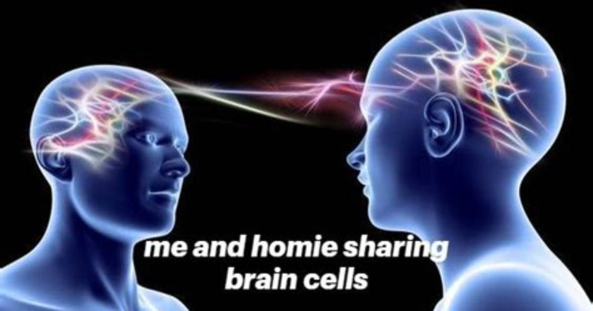 Unlocking the Humor: the Brain Connection Meme Phenomenon