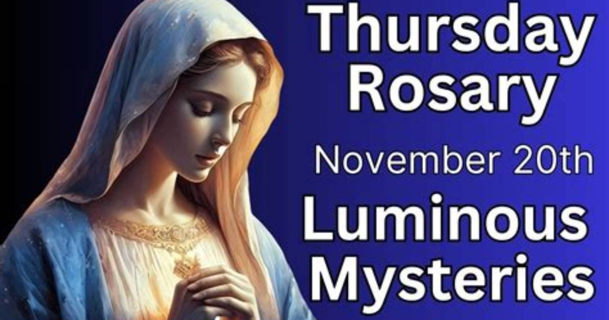 Unlocking the Mysteries of the November 20Th Zodiac