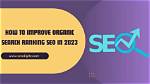 Unlocking the Power of Organic Search Ranking Tools