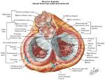 Unraveling the Heart of Will Arnett's Family: Discoveries and Insights