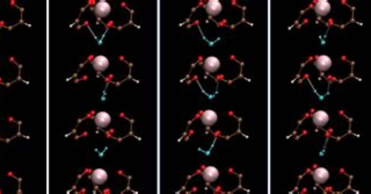 Unraveling the Intriguing Dynamics of a Complex Relationship