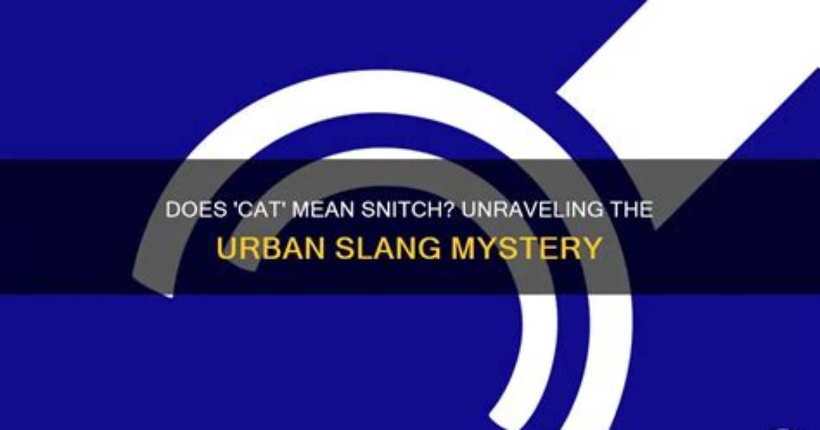 Unraveling the Mystery Behind the Gunna Snitch Video