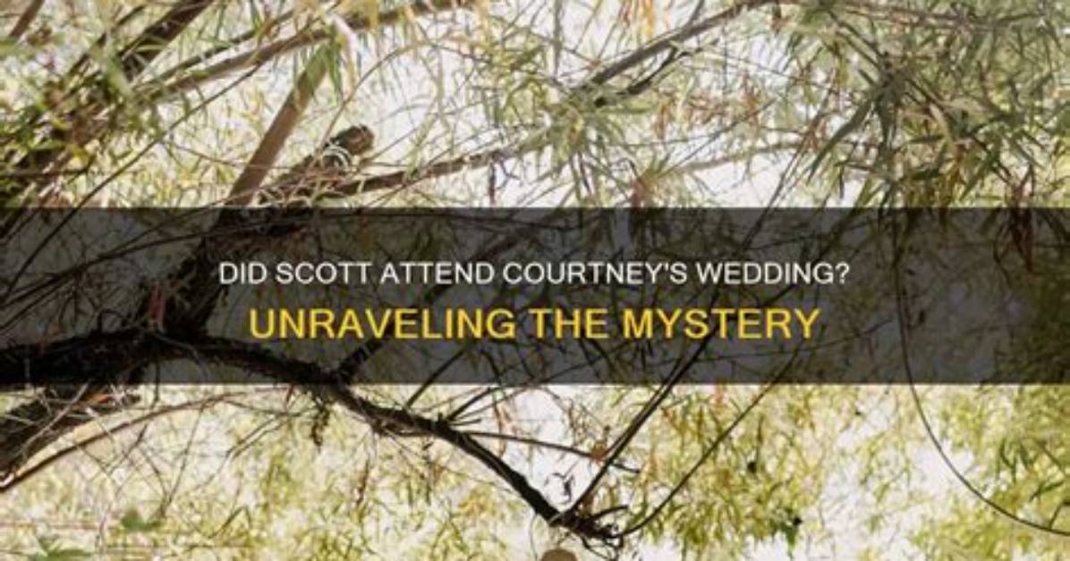 Unraveling the Mystery of Scott Carpenter and Bigfoot