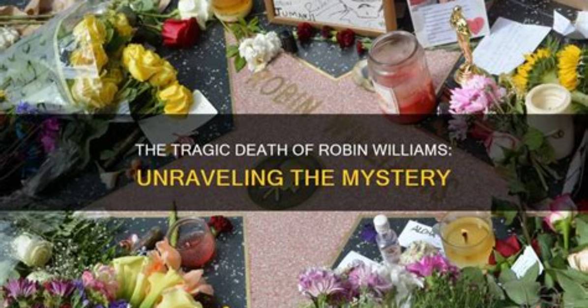 Unraveling the Mystery: the Tragic Death of Merlin Santana