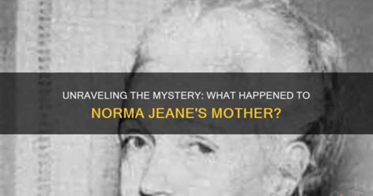 Unraveling the Mystery: What Happened to Noa Argamani's Boyfriend?