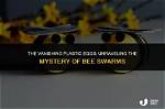 Unraveling the Mystery: Which Bee Gee Killed Himself?