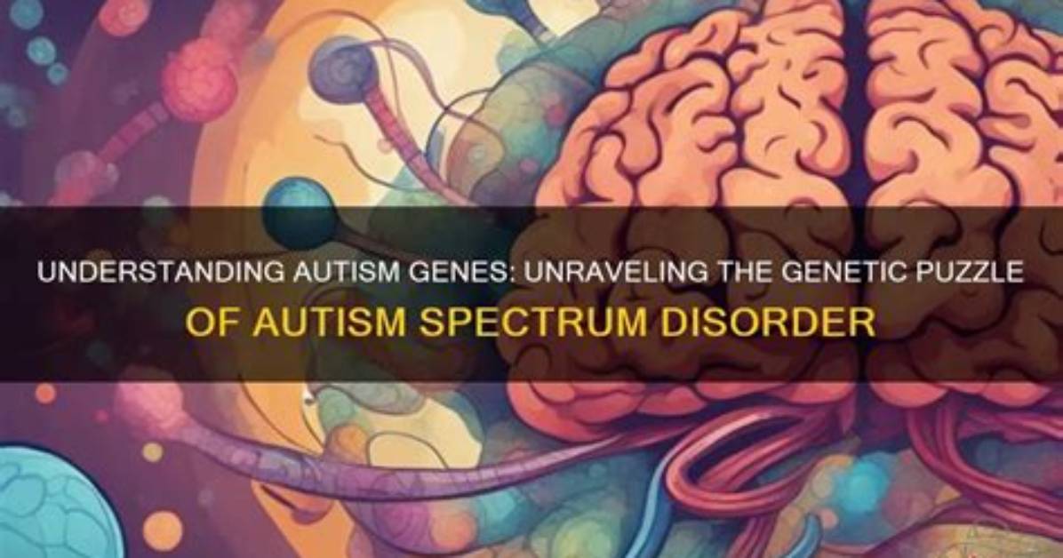 Unraveling the Puzzle of Autism