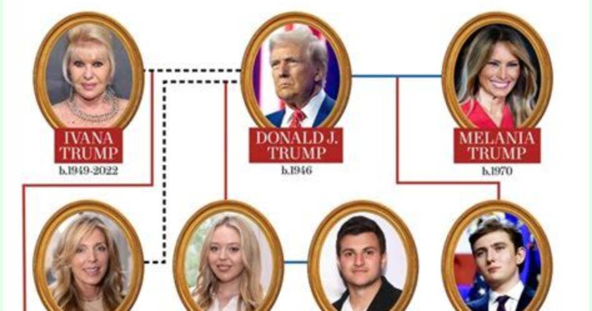 Unravelling the Heights of the Trump Family