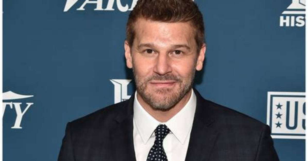 Unveiling David Boreanaz's Paternity: Discoveries and Insights Await