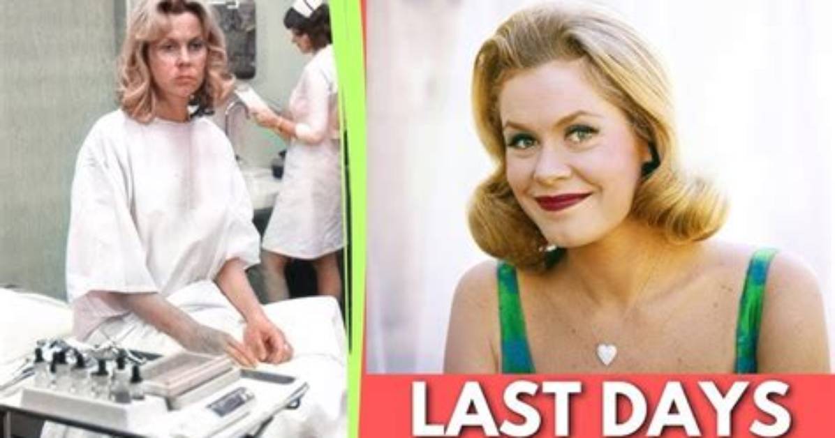 Unveiling Elizabeth Montgomery's Last Days: Discoveries and Insights