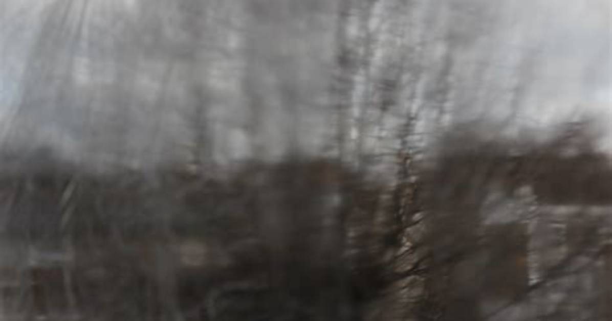 Unveiling the Artistic Brilliance of Marius Leqi: Discoveries and Insights