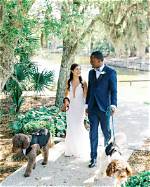 Unveiling the Enchanting Details of Rena Haley's Wedding