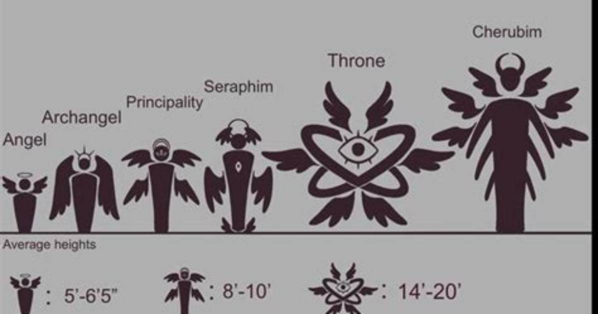 Unveiling the Enigmatic Dimensions: Archangel Height and Weight