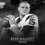 Unveiling the Enigmatic Fortune of Ryan Mallett