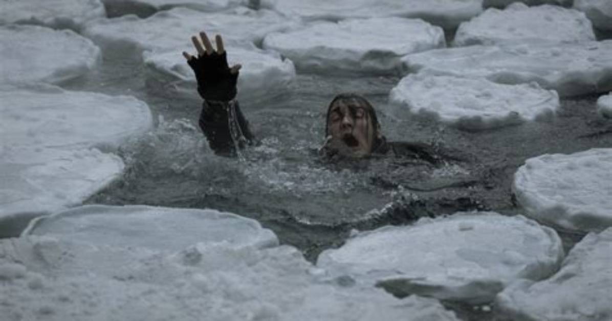 Unveiling the Genius of Tibor Milos Kriko: Insights and Discoveries