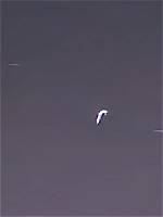 Unveiling the Mysteries of Islandkey_