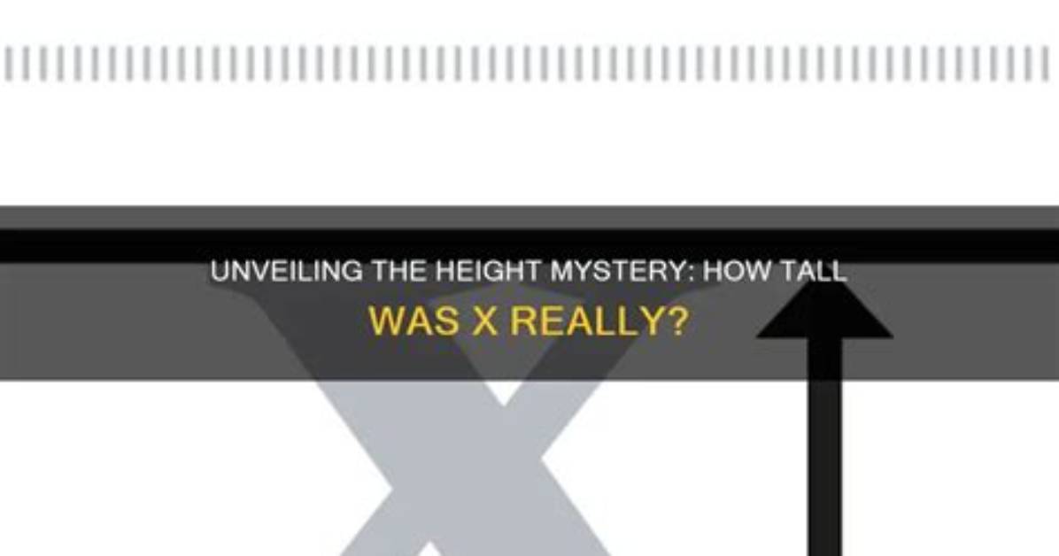 Unveiling the Mystery: How Tall Is Lp?