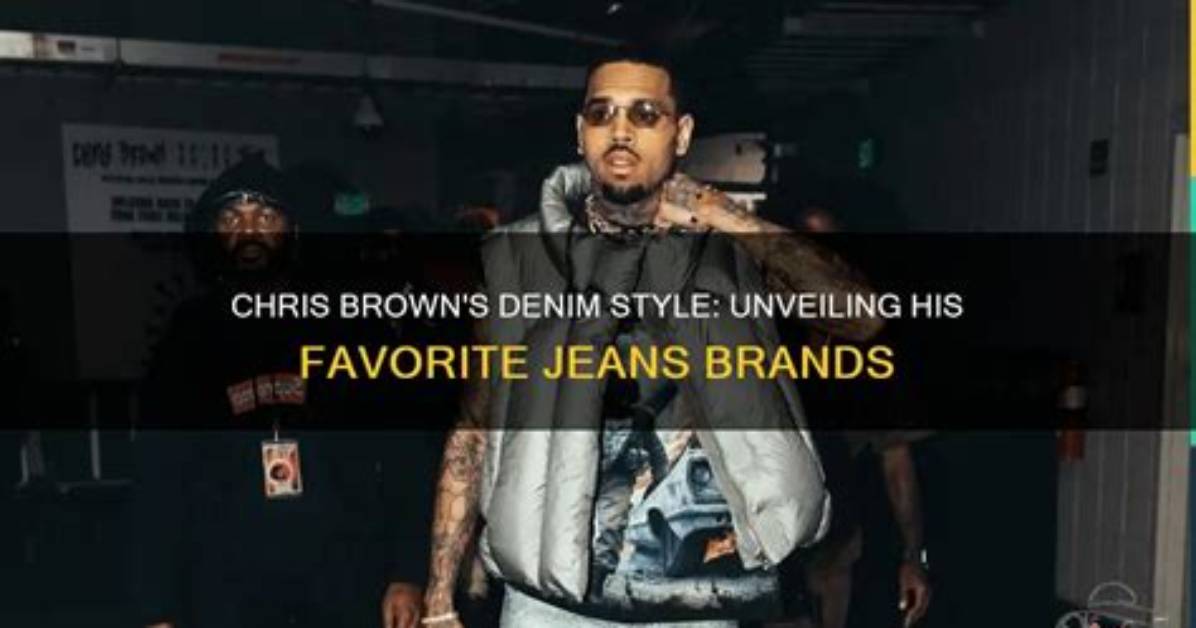 Unveiling the Mystique of Chris Brown's Wife