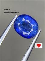Unveiling the Mystique of the 9 June Personality